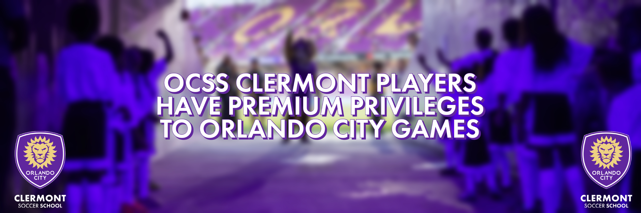 PRIVILEGES